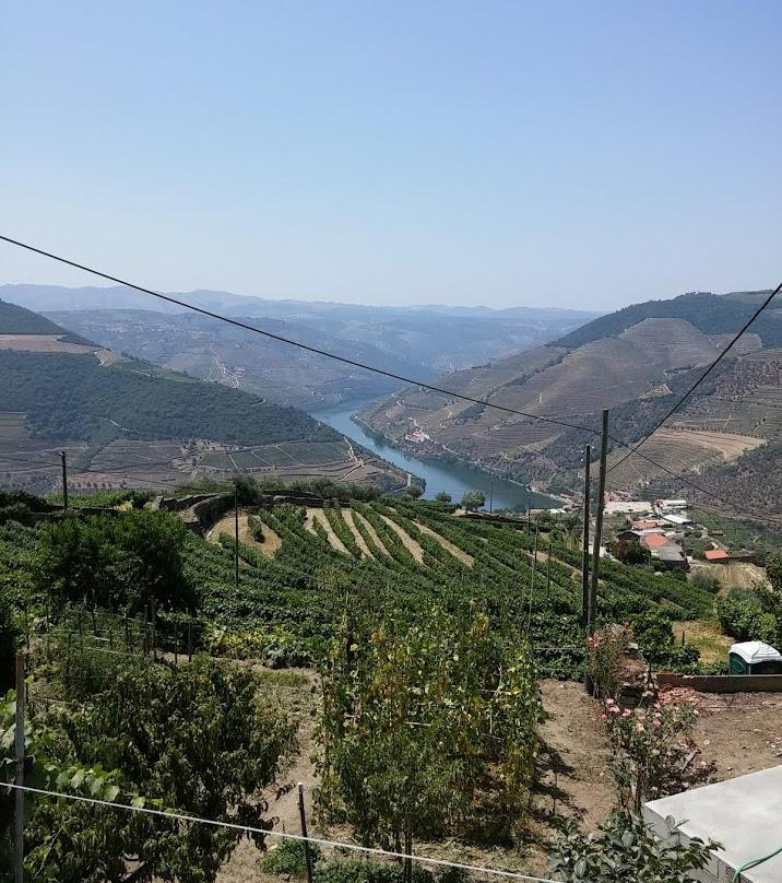 Oporto & Douro Moments-波尔图必去景点