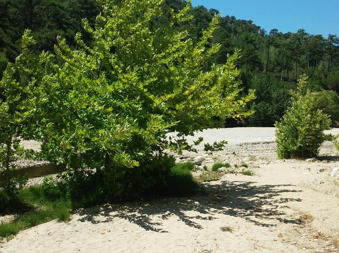 Lake Marion-Thassos Town (Limenas)必去景点