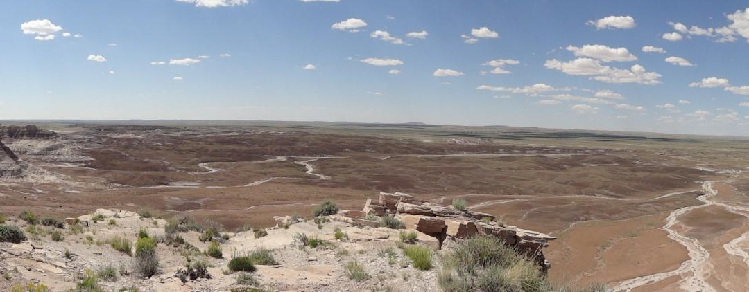 Painted Desert-石化林国家公园必去景点