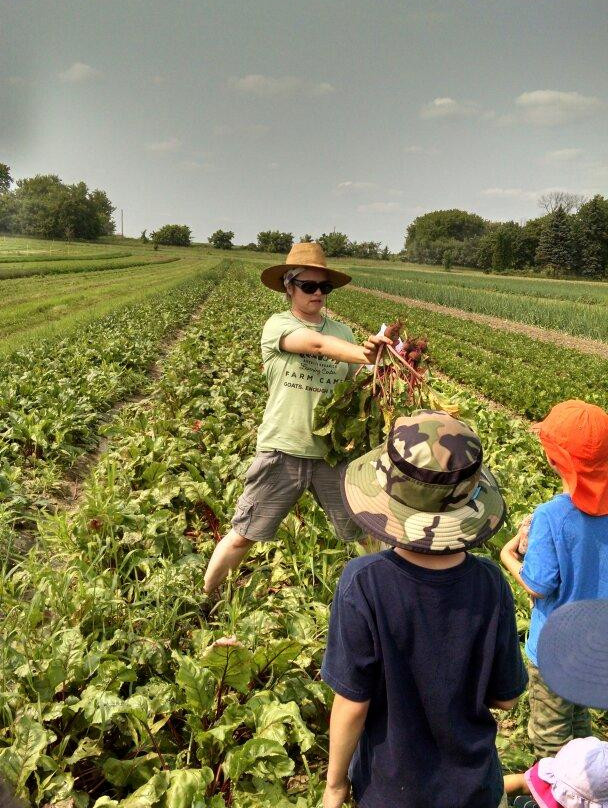 Angelic Organics Learning Center-Caledonia必去景点