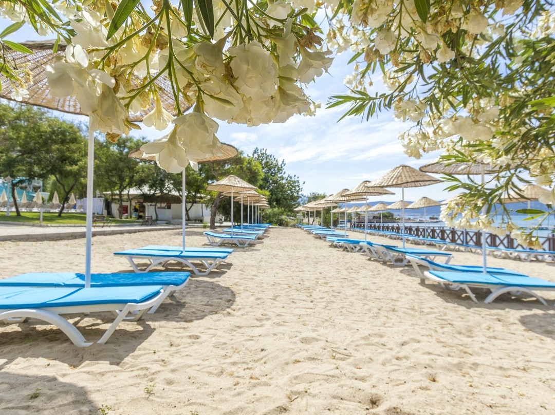 Akbuk酒店住宿-Carpe Mare Beach Resort