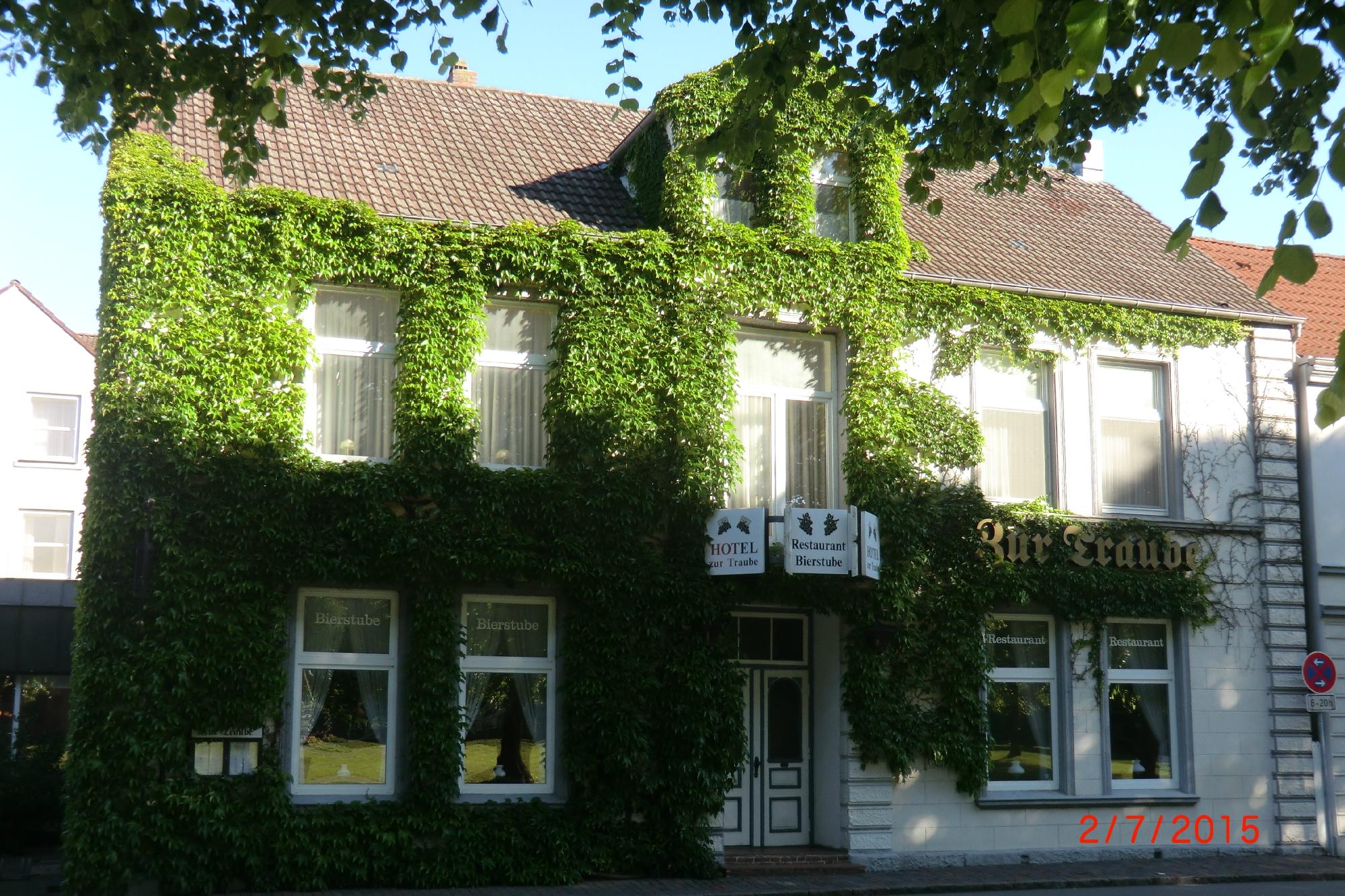 Hotel Zur Traube-客卧