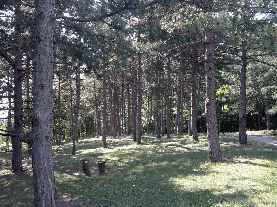 Cacalica景点图片