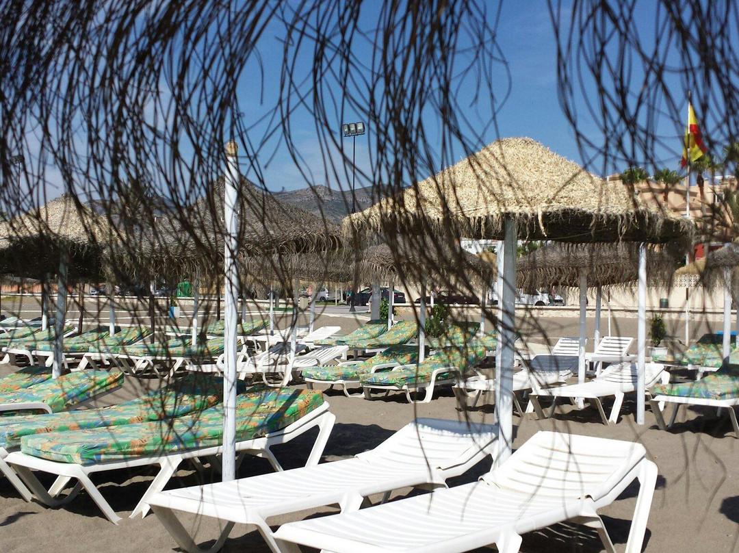 Playa de los Álamos景点图片