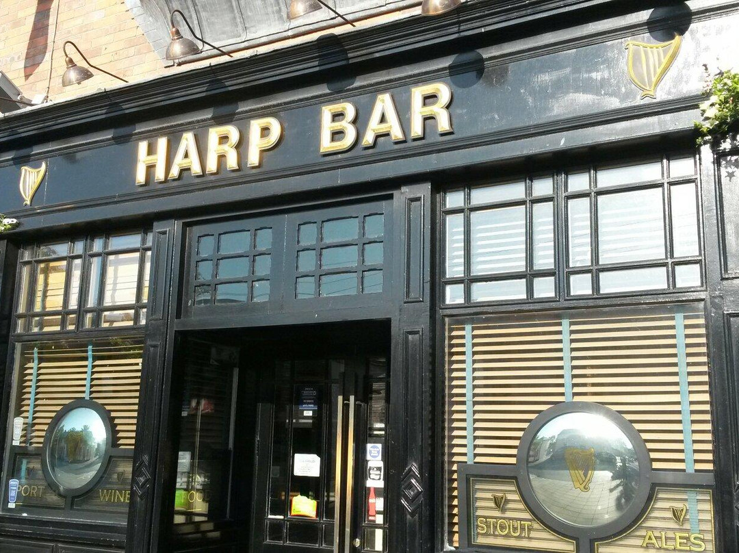 Ballyboghil餐馆和美食-The Harp Lounge