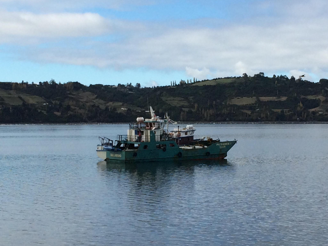 Mercado Artesanal Los Palafitos-Castro必去景点