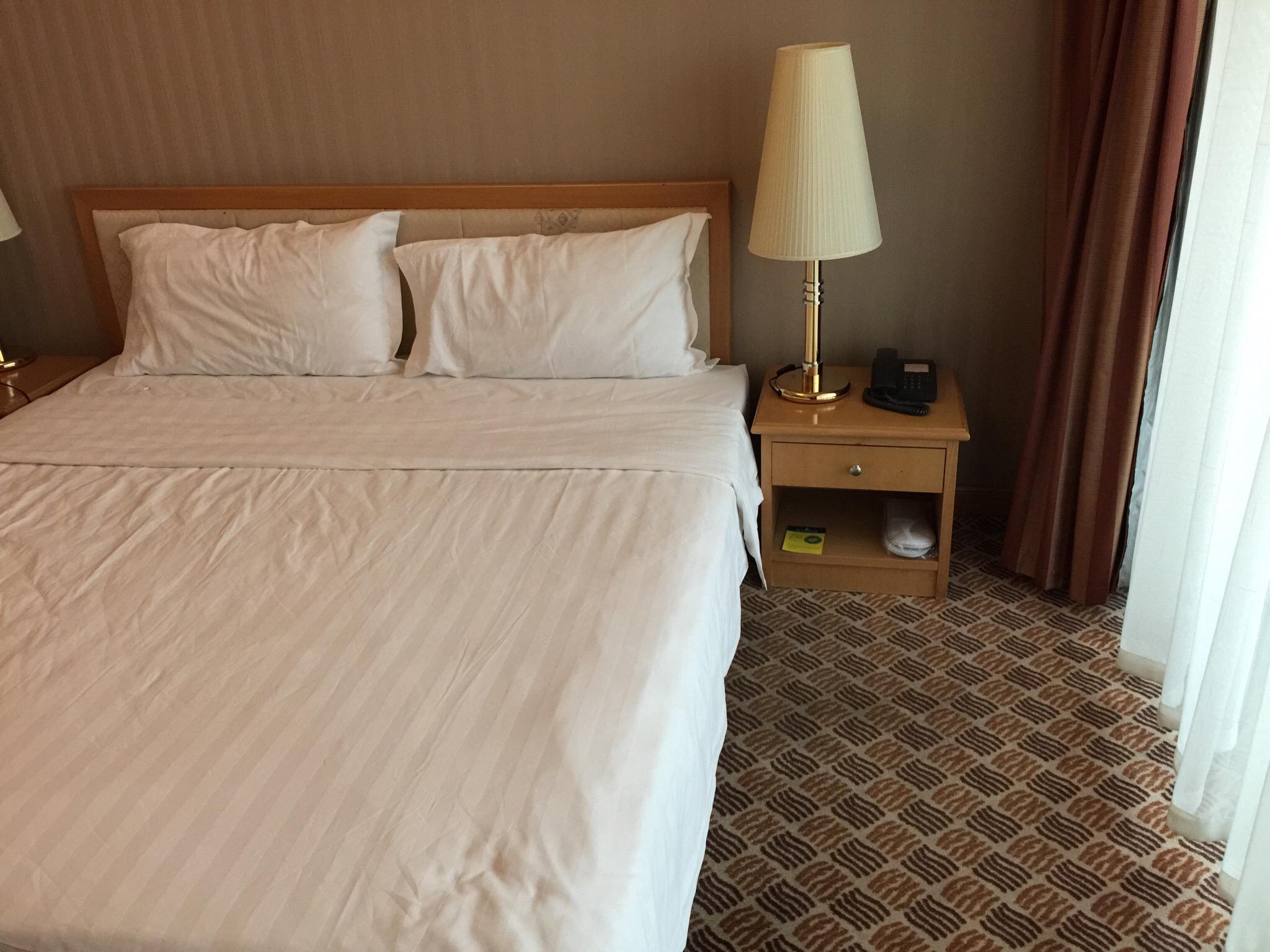 外国专家大厦-客卧