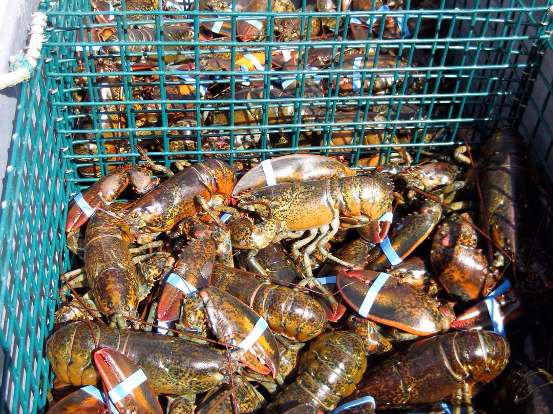 Shippagan Lighthouse-Shippagan必去景点