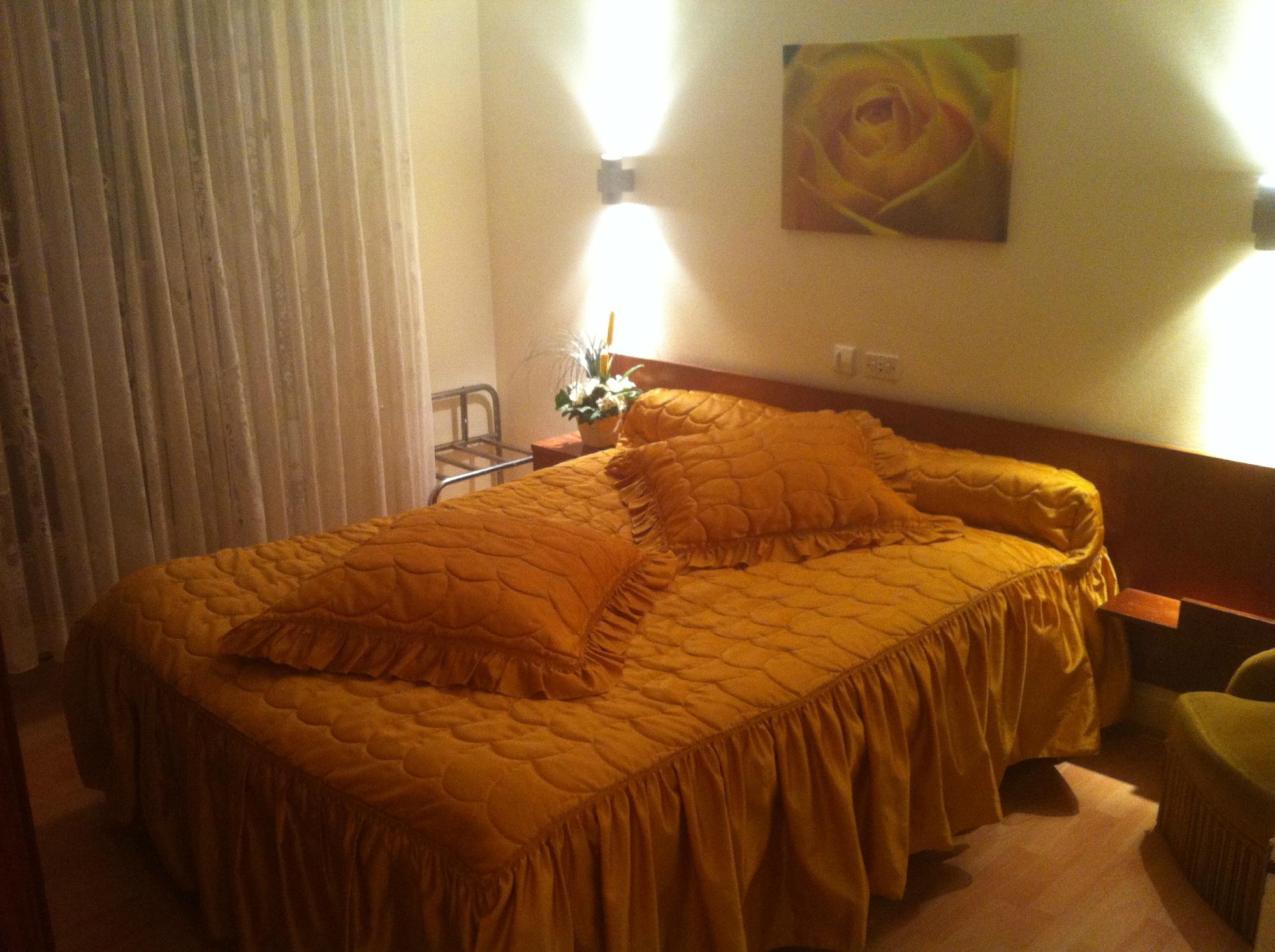 Hotel des Pyrenees-客卧