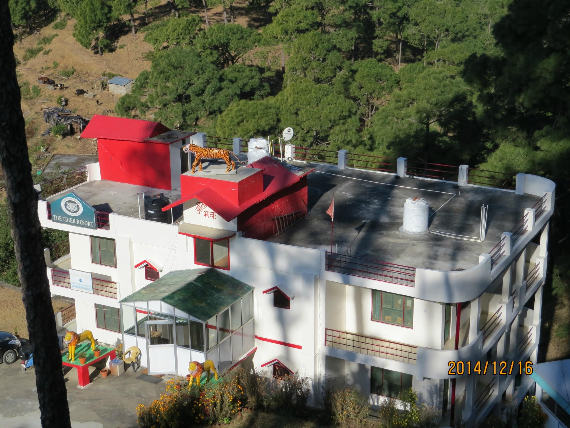 The Tiger Resort-餐饮