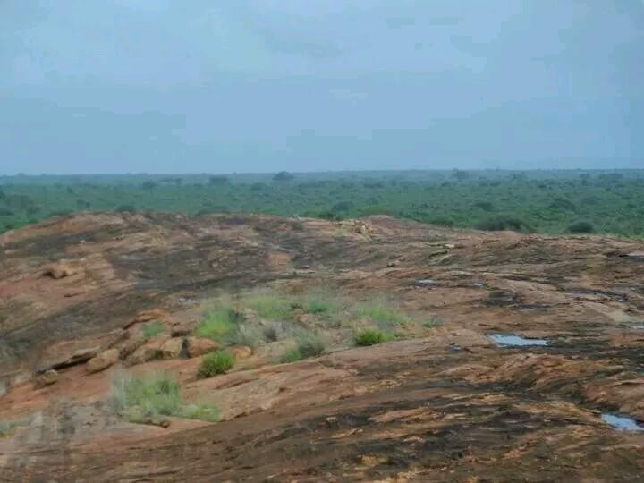 Tsavo Travel & Safaris景点图片