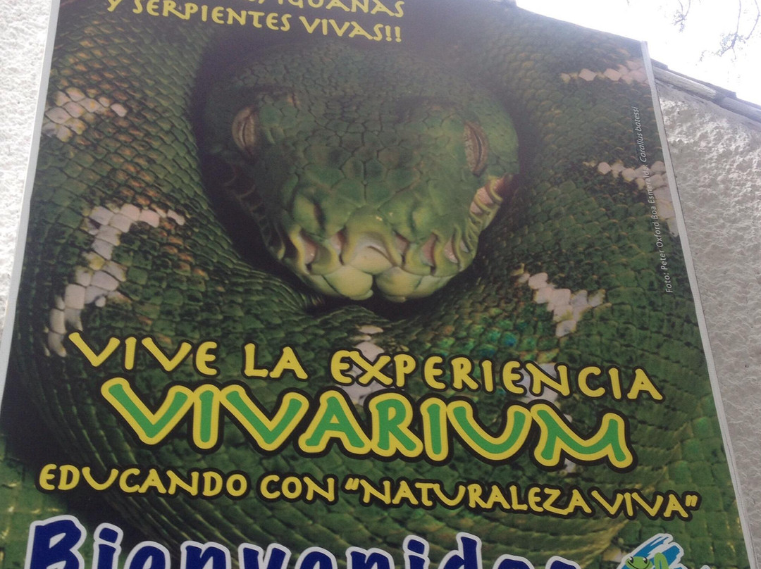Vivarium de Quito-基多必去景点