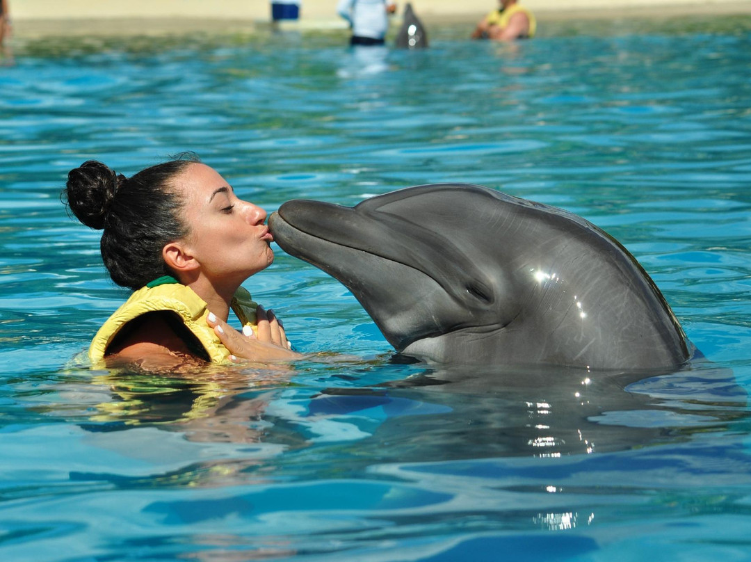 Dolphinaris Riviera Maya Park景点图片