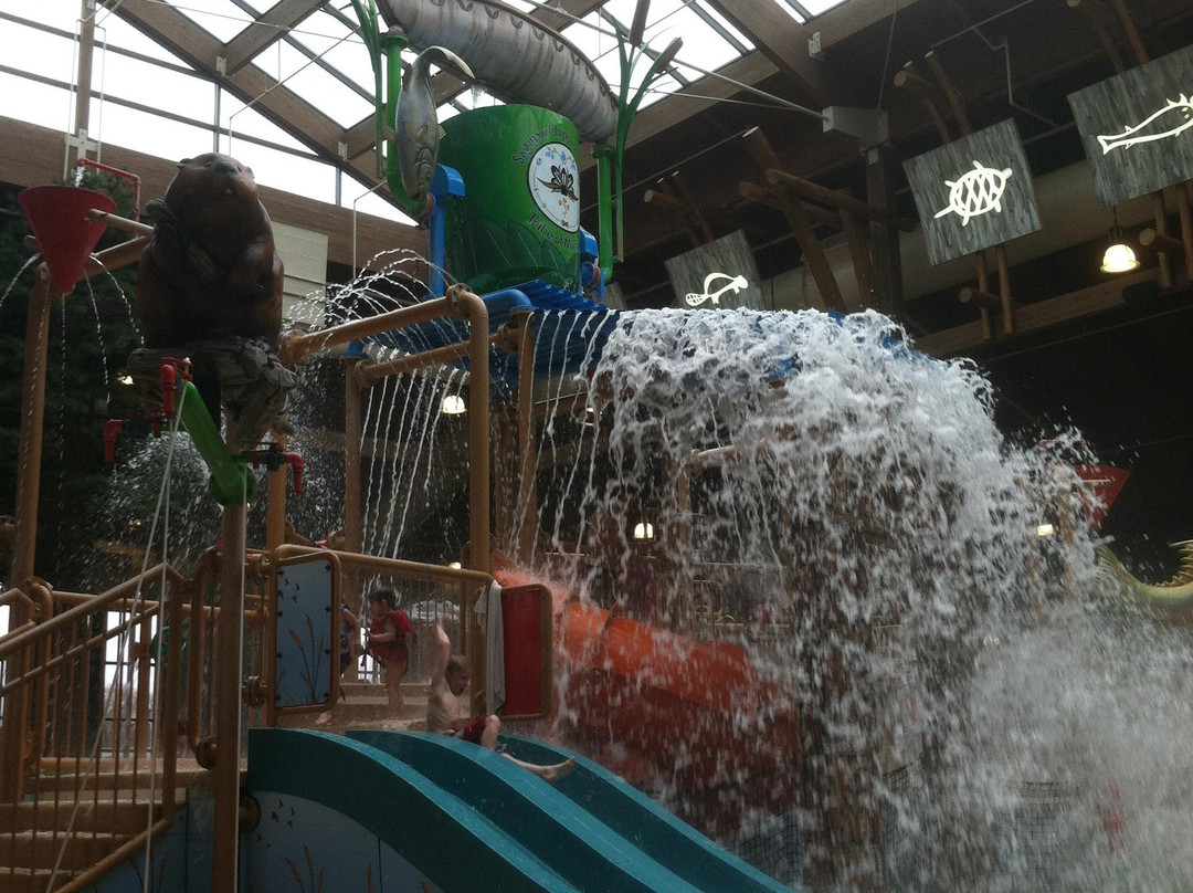 Soaring Eagle Waterpark景点图片