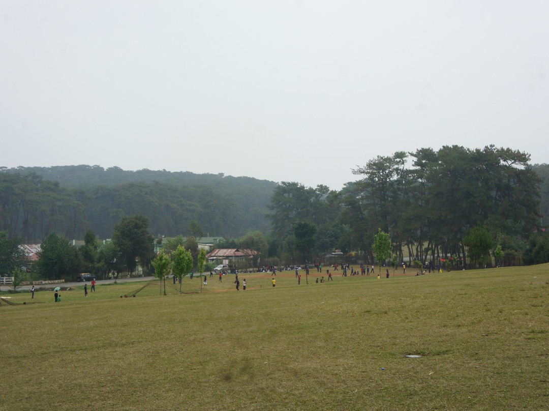 Golf Links景点图片