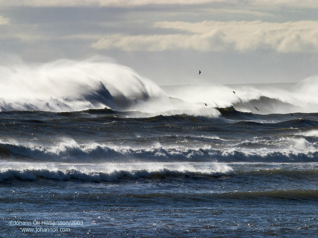 The House by the Sea Bed and Breakfast主图