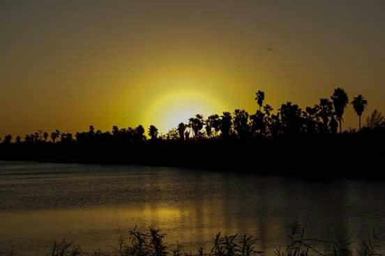 Bentsen-Rio Grande Valley State Park-Mission必去景点