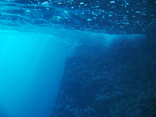 Scuba Diving Black Pearl-耶尔萨必去景点