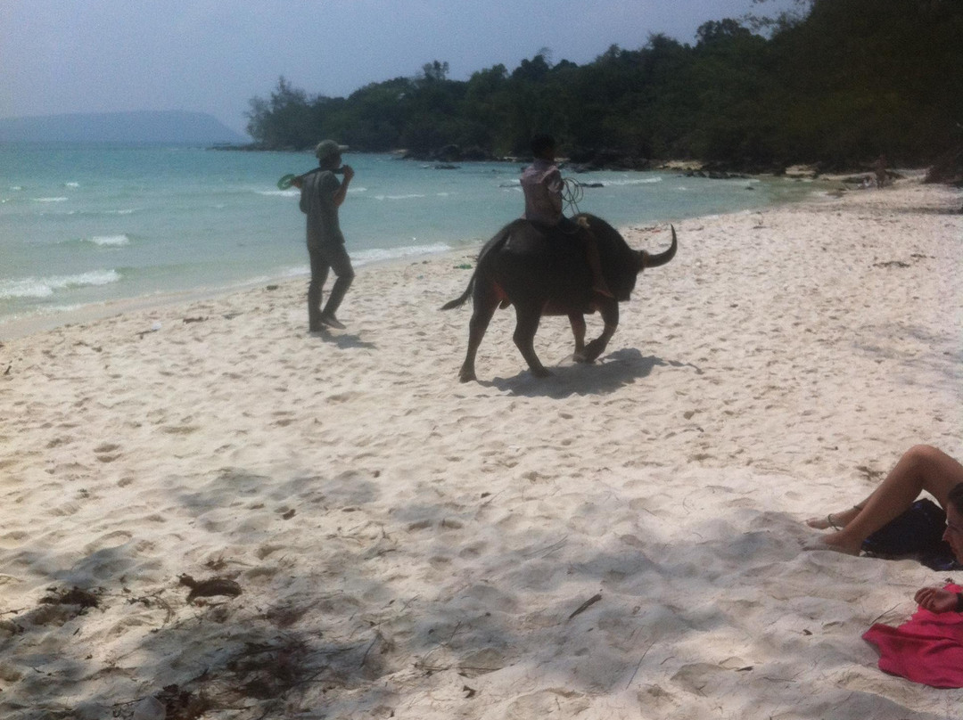 竹岛-高龙必去景点