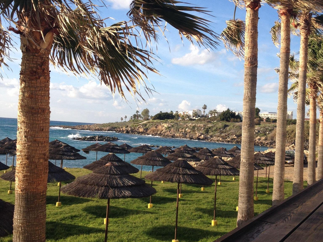 Vardas Beach-帕福斯必去景点