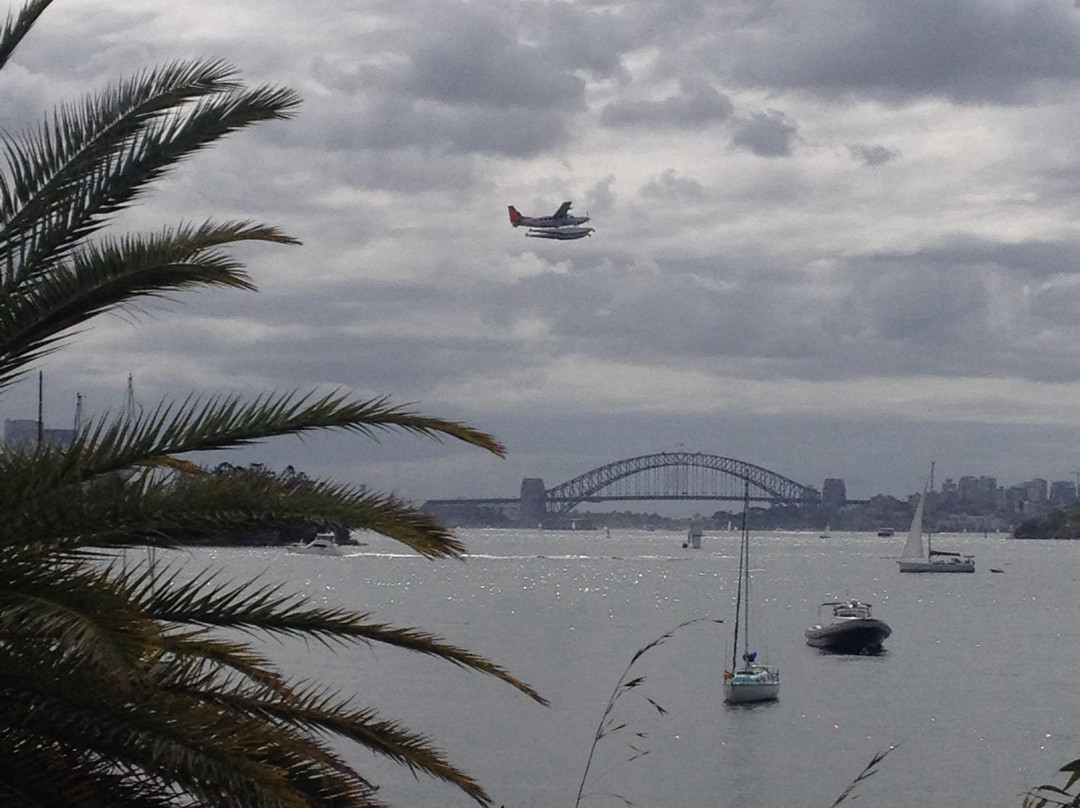 玫瑰湾至尼尔森公园漫步-悉尼必去景点