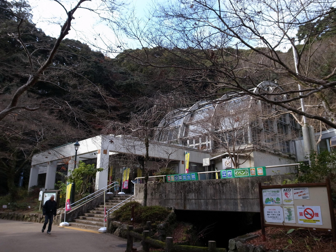 美浓市旅游景点-Mino Park Museum of Insects