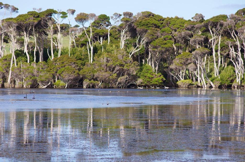 King Island Tours-King Island必去景点