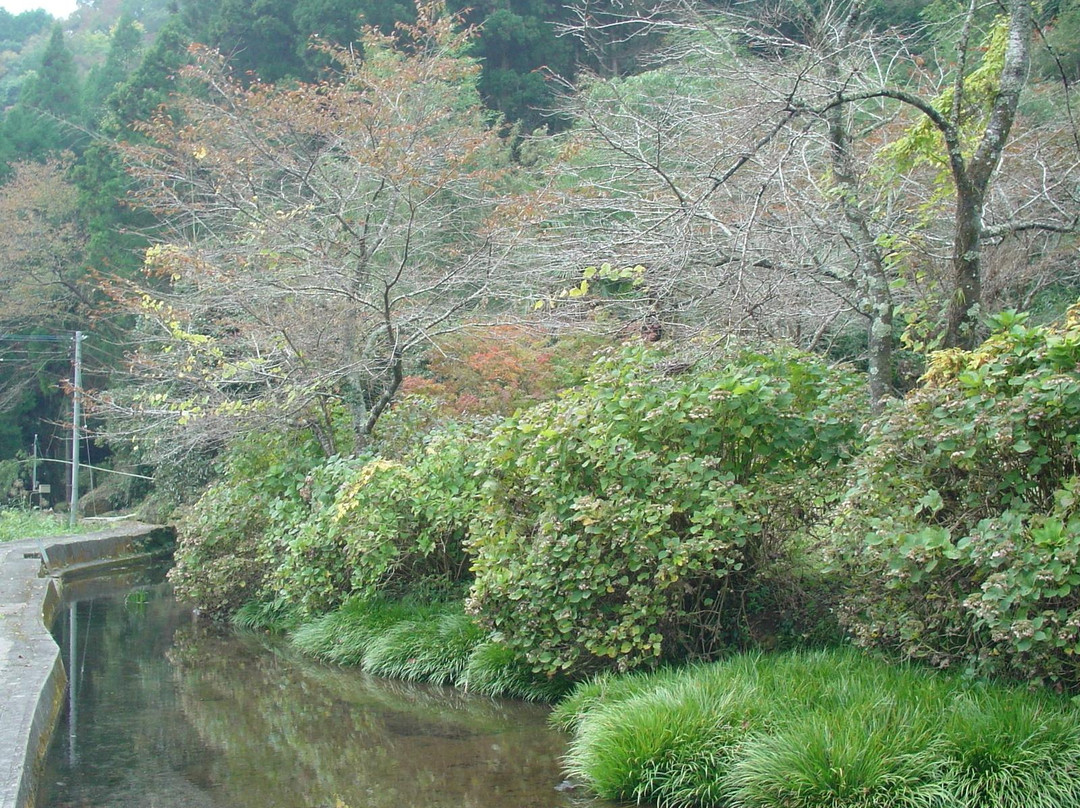 Taketa Spring Group-竹田市必去景点