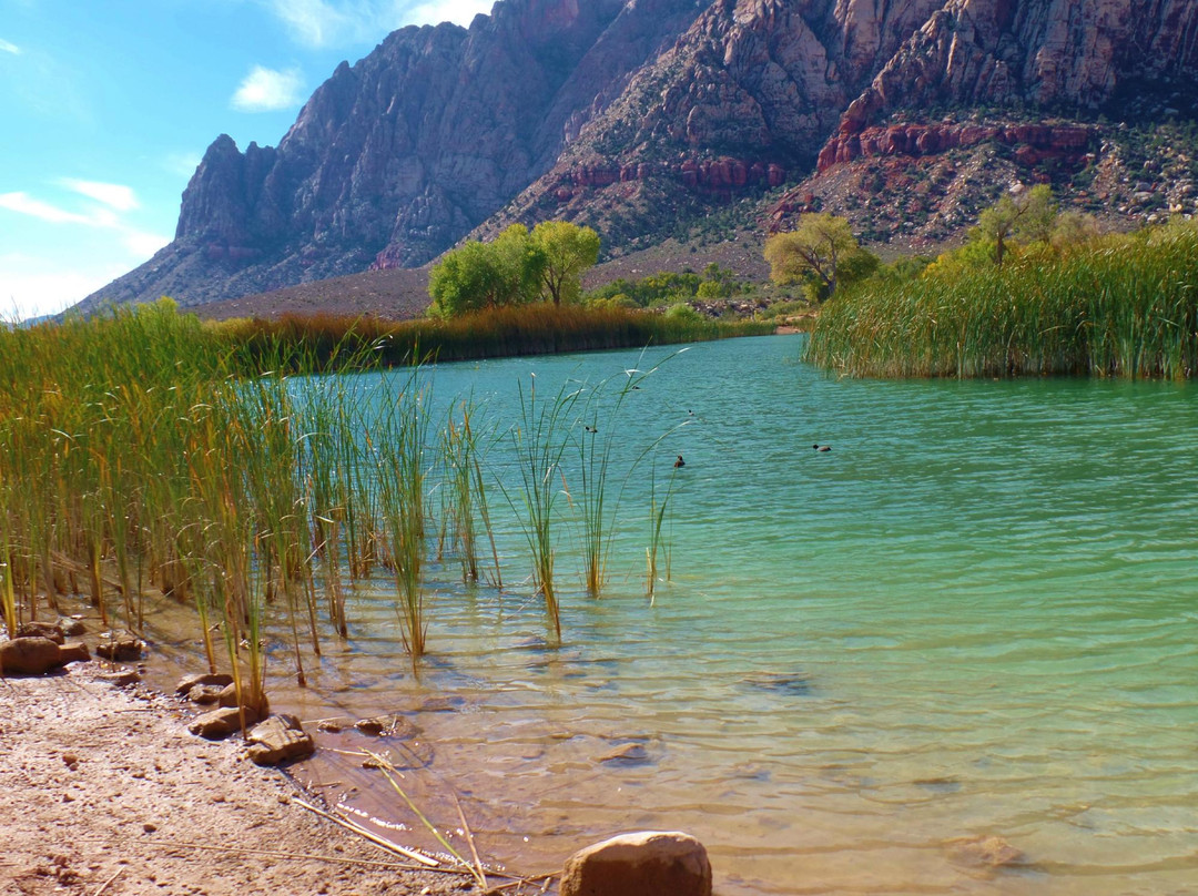 Spring Mountains National Recreational Area-Blue Diamond必去景点
