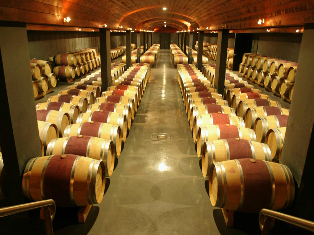 Chateau Bertinerie景点图片