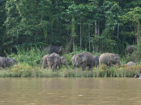 苏高酒店住宿-Menanggul B&B