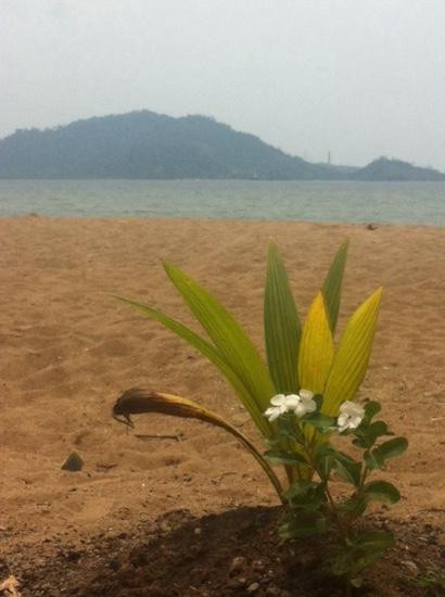 Carolina Beach-巴东必去景点