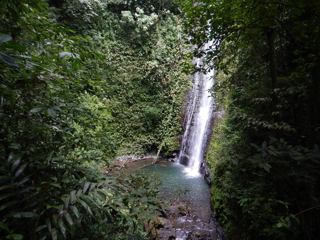 Concepción de Daniel Flores旅游攻略图片