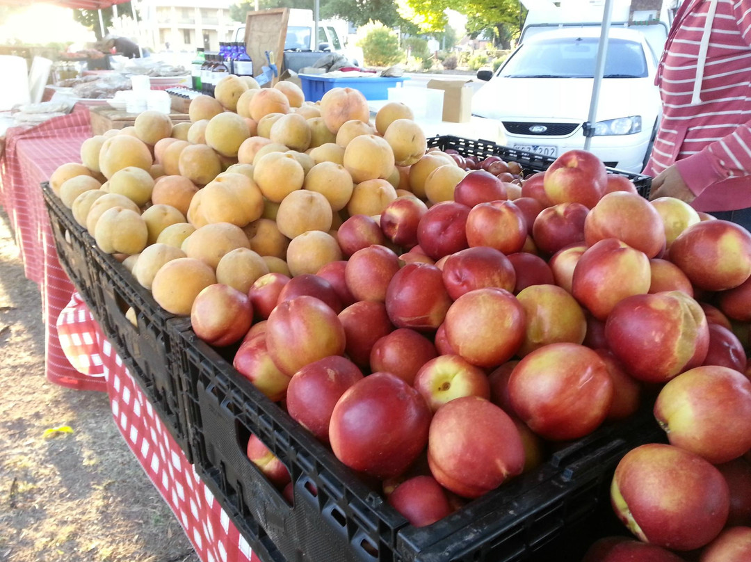 Mansfield Farmers' Market-曼斯菲尔德必去景点