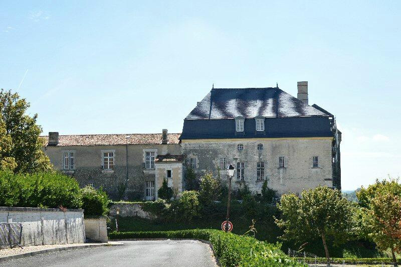 Château de Chalais景点图片