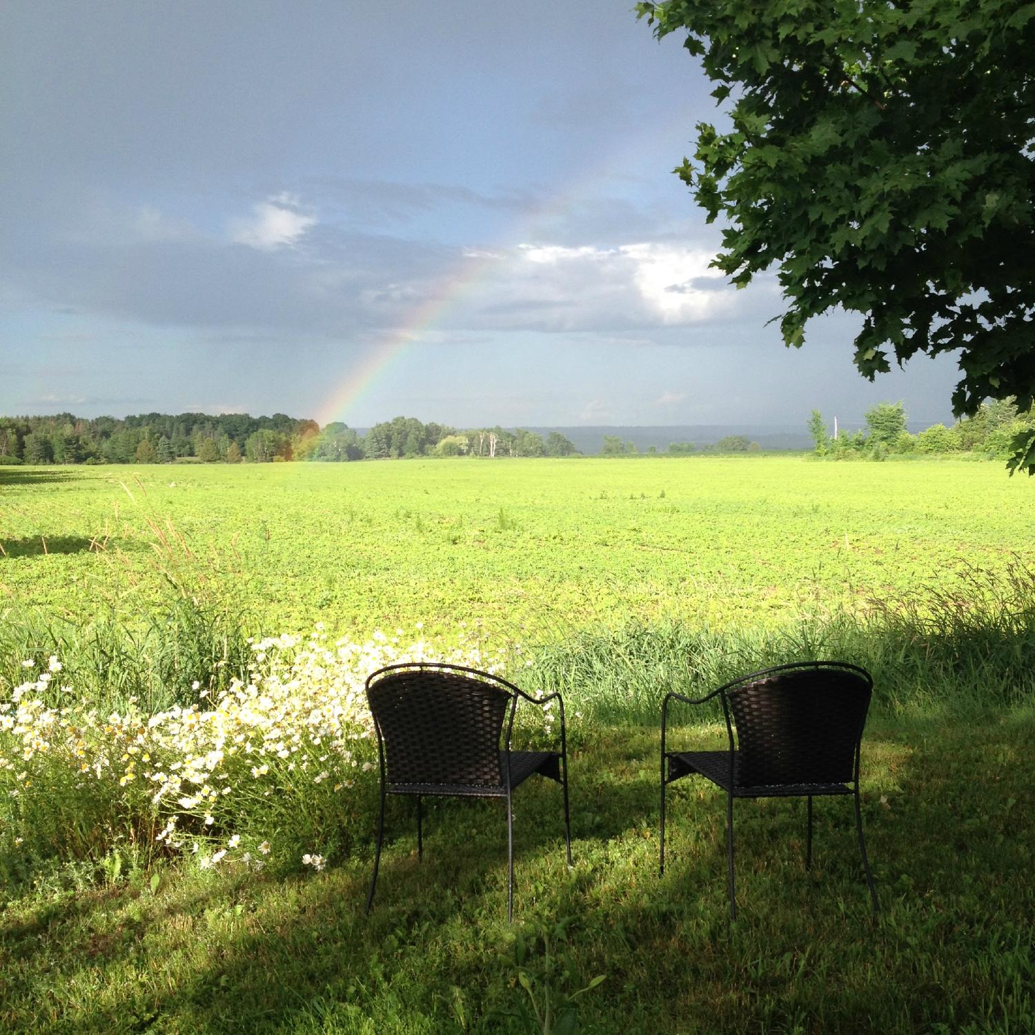 Country Blossom Bed & Breakfast-官方