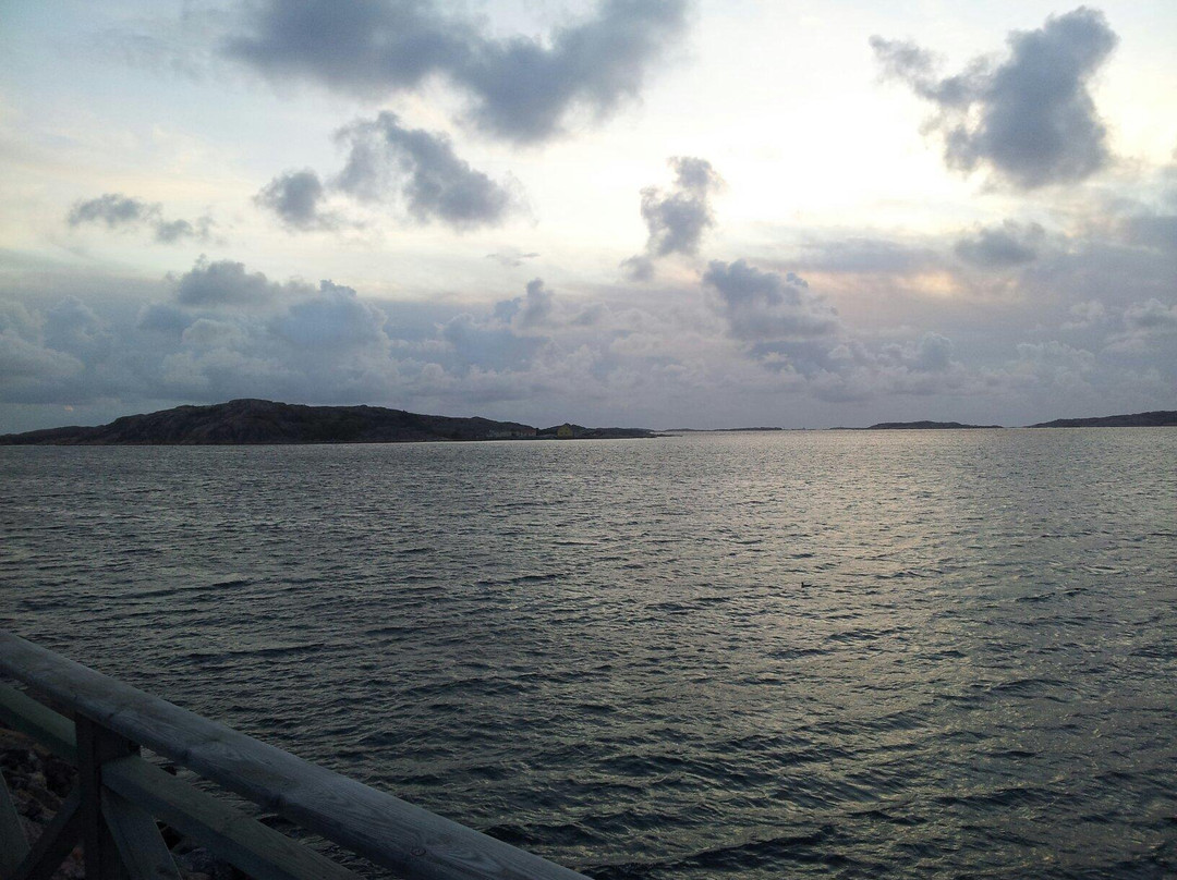 Stångehuvud Naturreservat-Lysekil必去景点