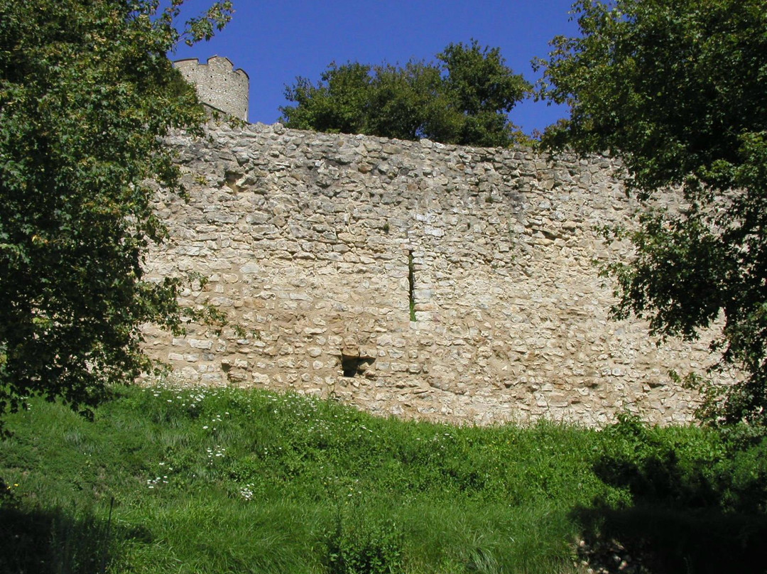 Château de Fallavier景点图片