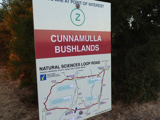 Cunnamulla Bushlands-Cunnamulla必去景点