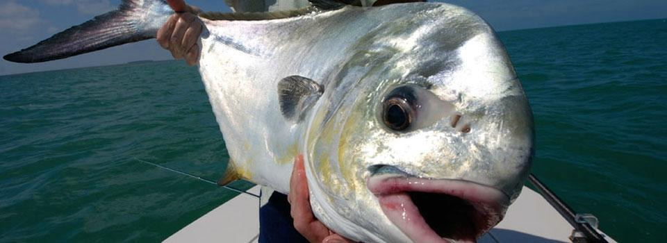 Sting Rea Private Charters-Summerland Key必去景点