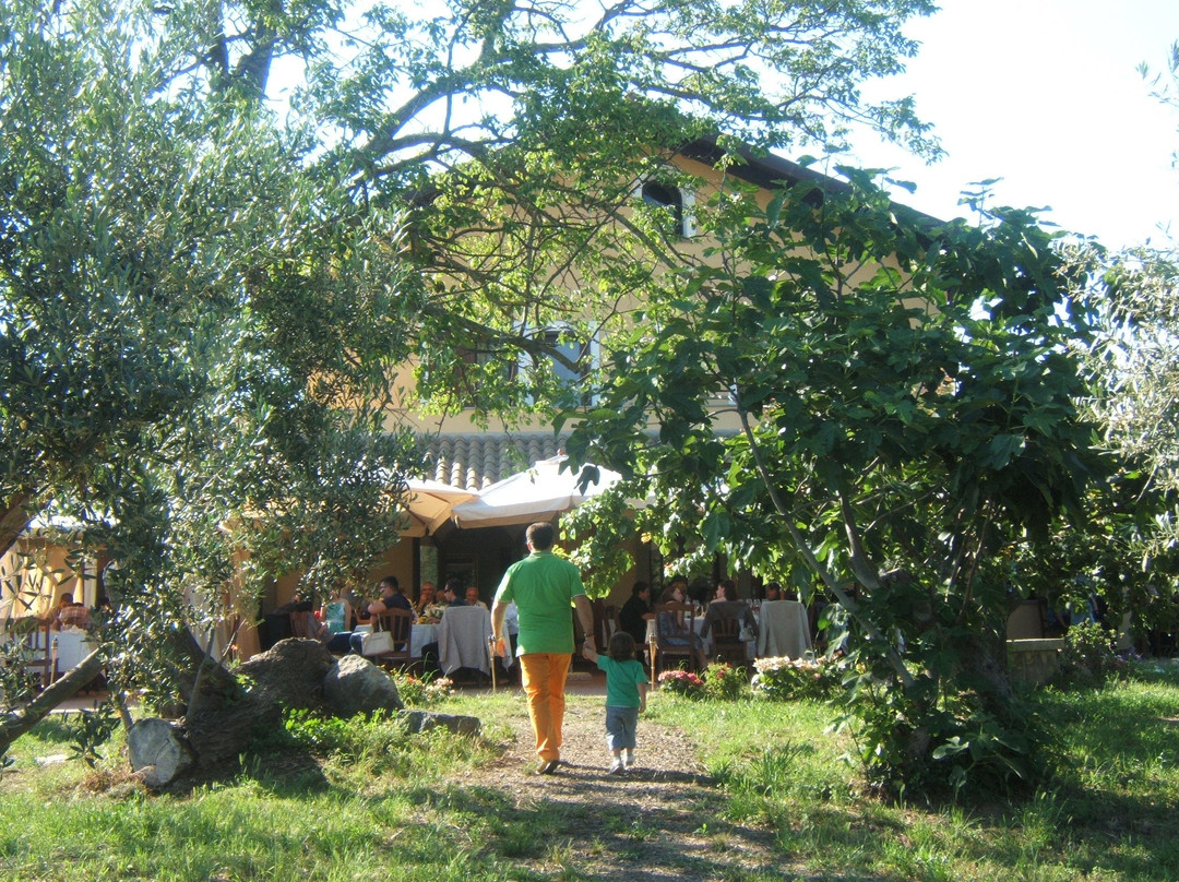 Agriturismo Paino