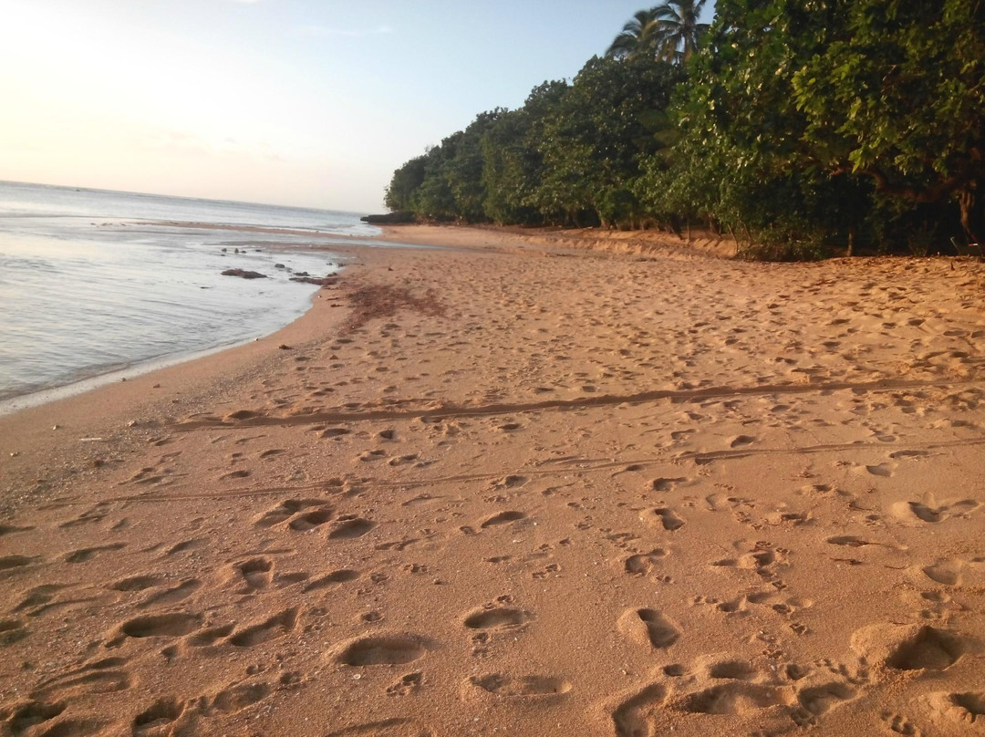 Mamangal Beach-Virac必去景点