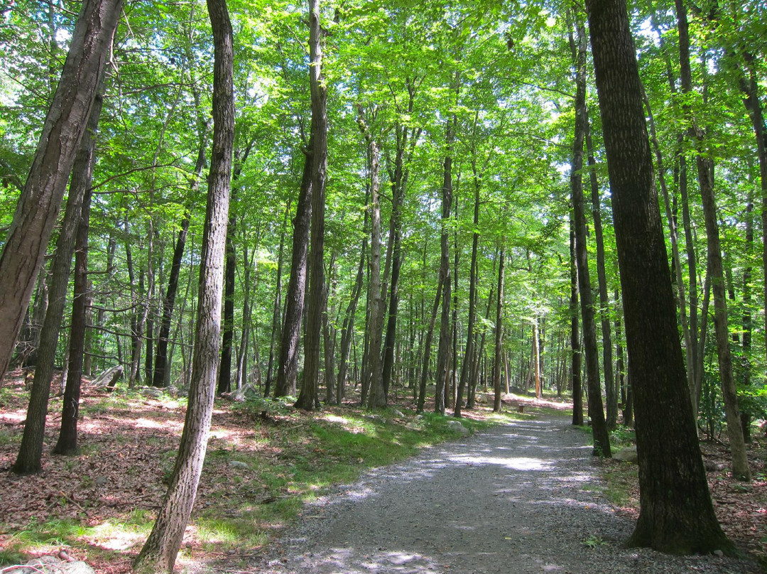 Tourne County Park景点图片