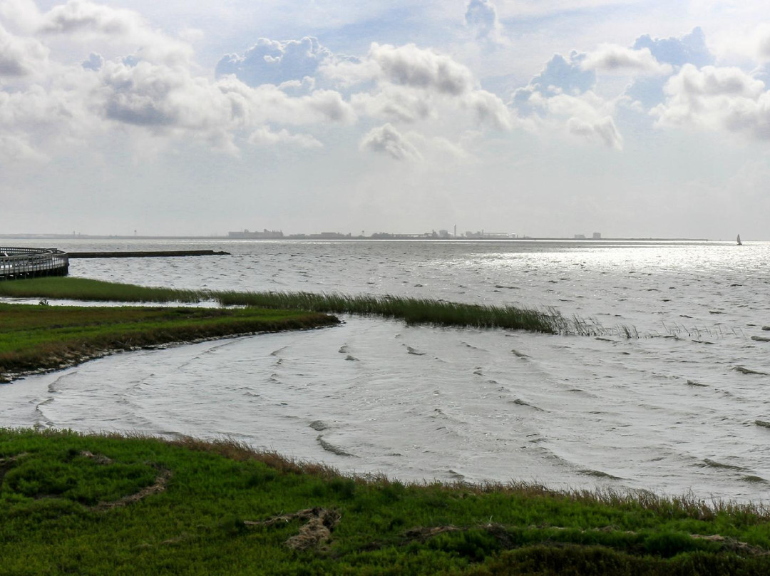 Lighthouse Beach-Port Lavaca必去景点