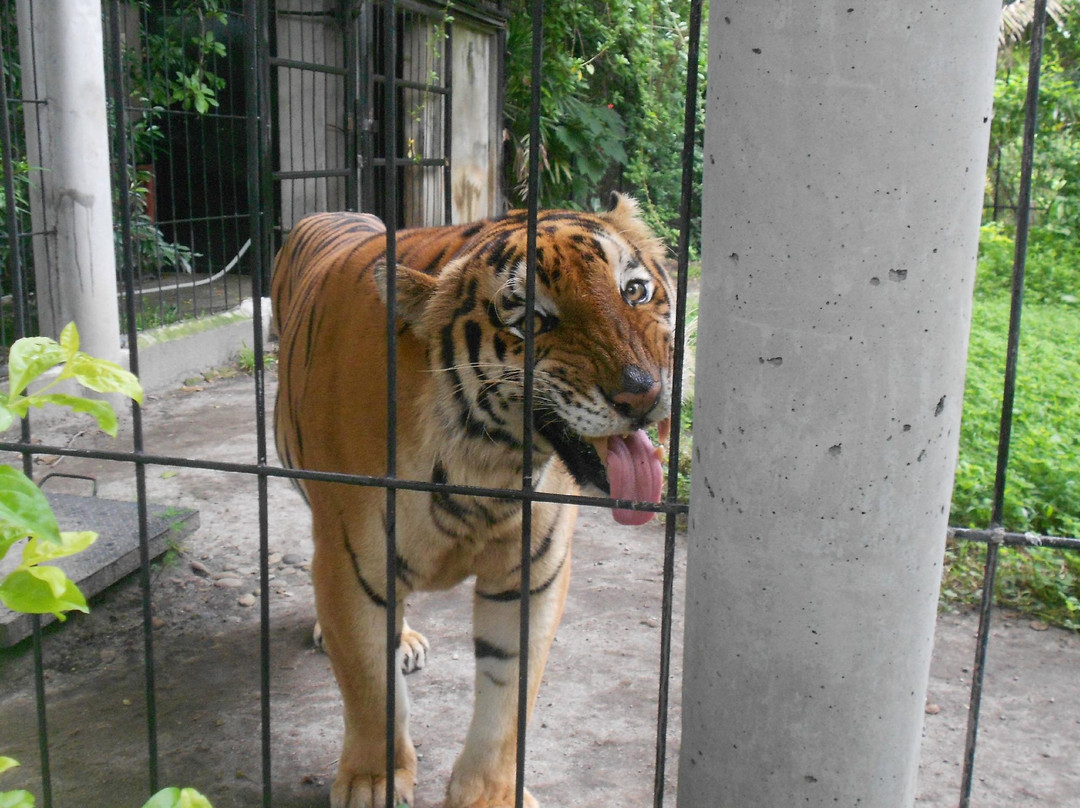 Botolan Wildlife Farm景点图片