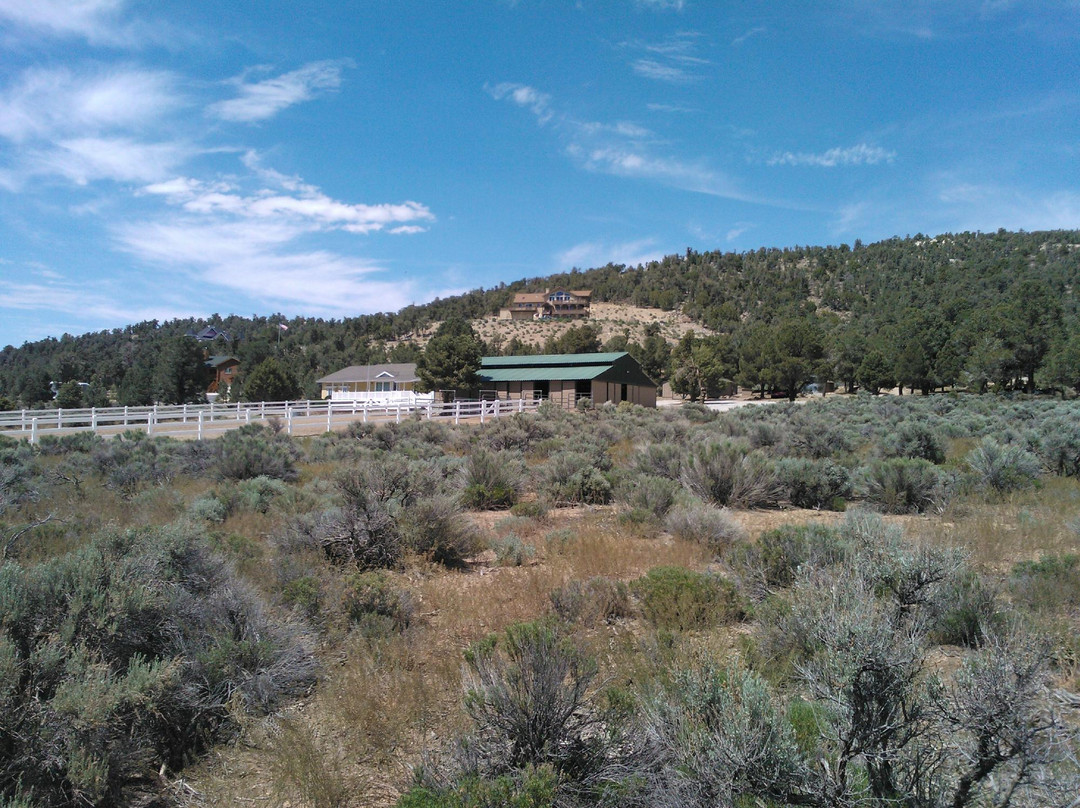 Baldwin Lake Stables-大熊湖必去景点