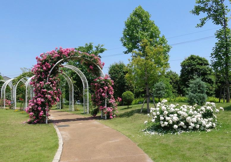Hogashi Matsudo Yui no Hana Park-松户市必去景点