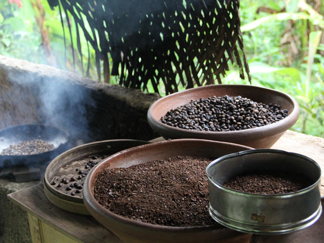 Bali Rising Tours - Private Day Tours-登巴萨必去景点