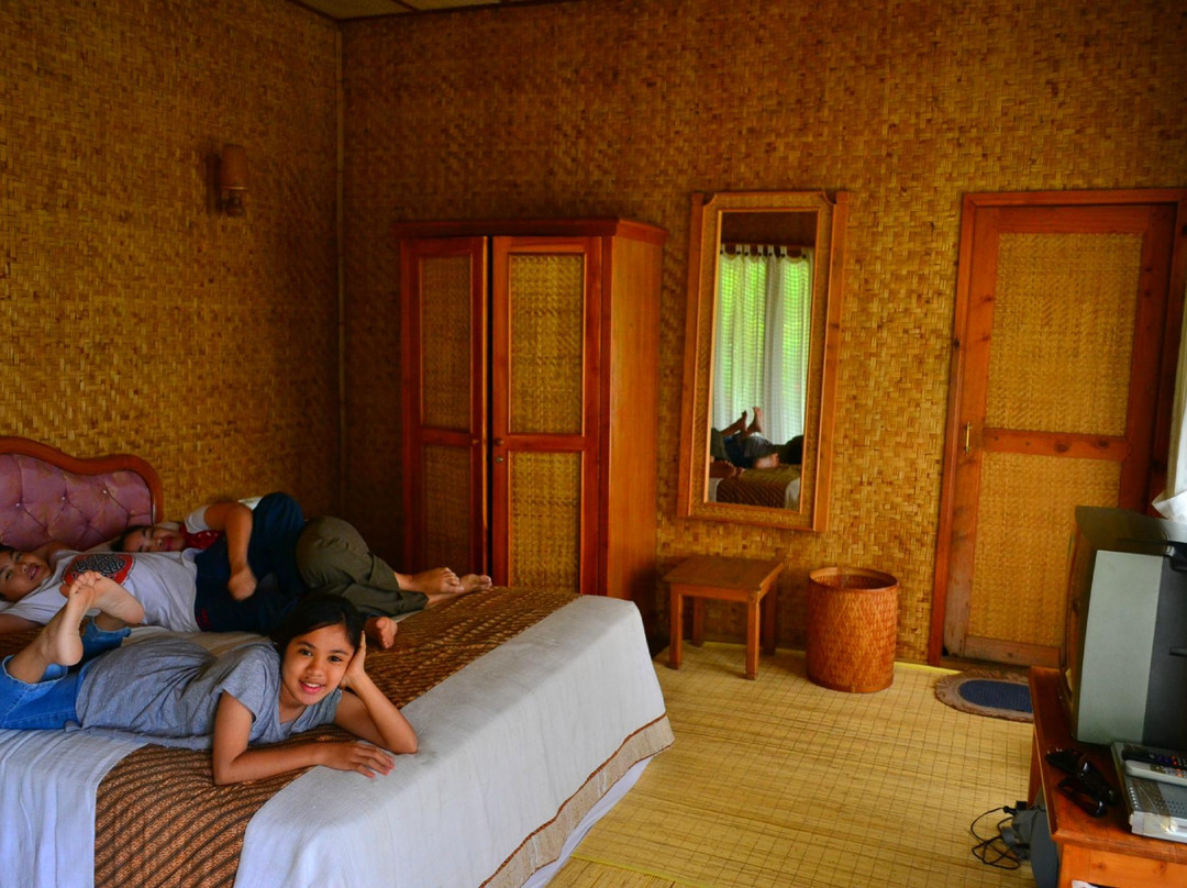 Sari Papandayan Resort主图