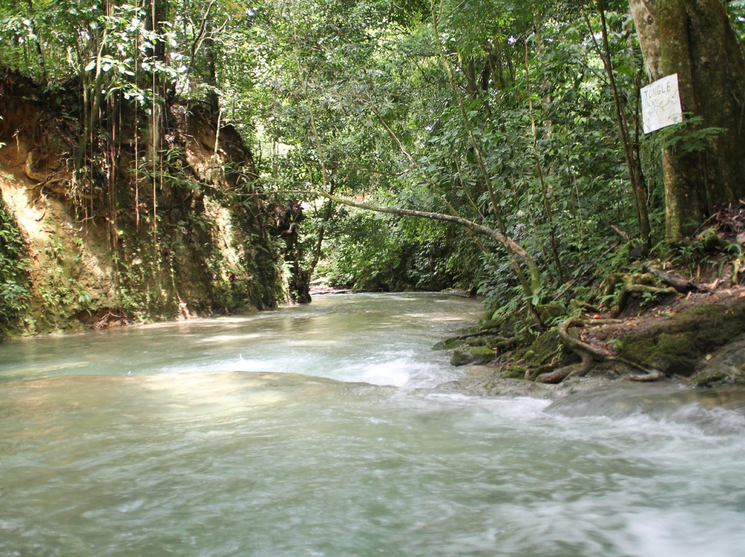Mayfield Falls & Mineral Springs Original景点图片